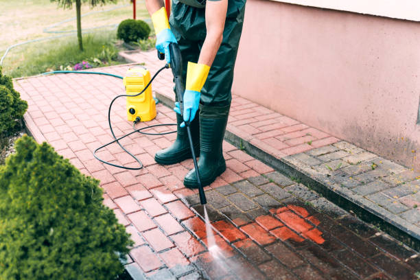 Best Animal Enclosure Cleaning  in Levittown, NY