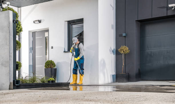 Best Gutter Cleaning  in Levittown, NY